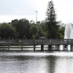 Gleeson Park Pond